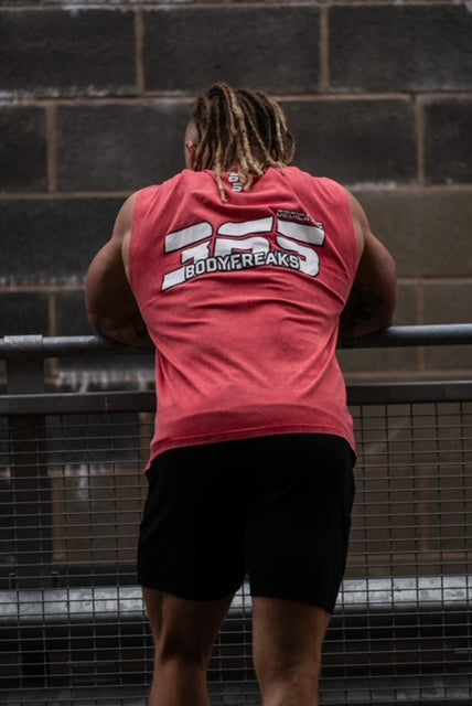 Dedicated 365 Sleeveless Tee- STONE WASH RED